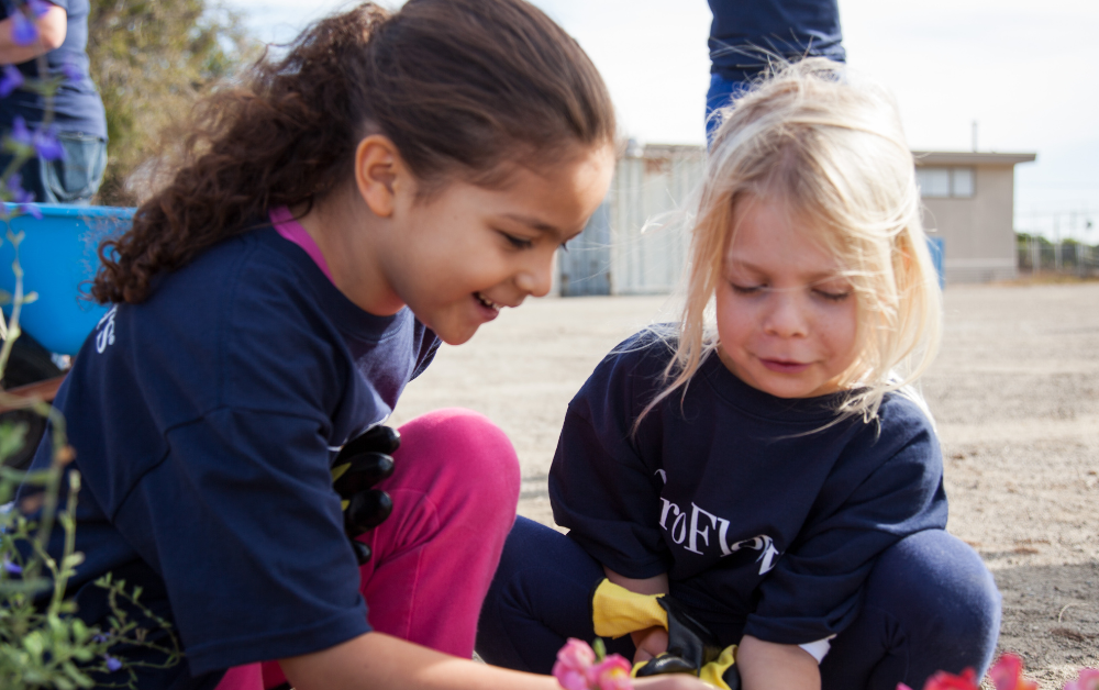 Sequoia Elementary School Garden Build