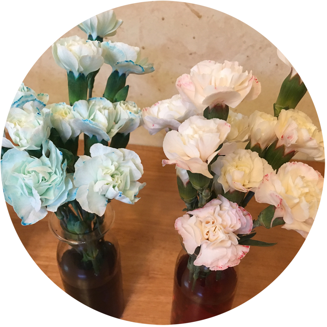 rainbow bouquet