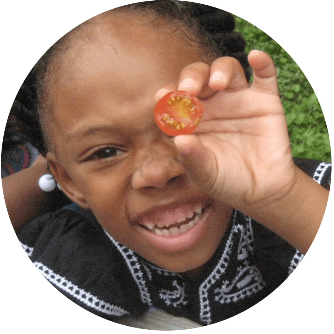 plant a snack garden