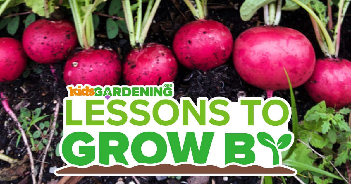 Lessons to Grow By