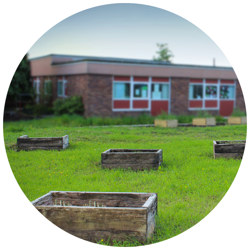 raised garden beds at a school garden