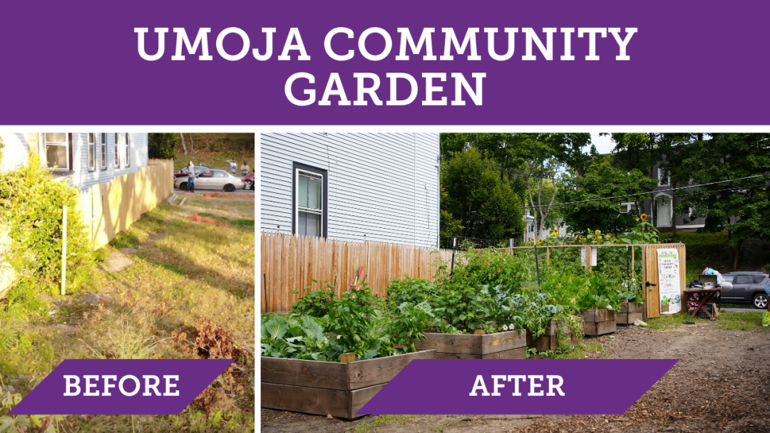 Umoja Community Garden Umoja Community Garden. A photo labeled Before shows a dirt patch against a fence. A photo labeled After shows a flourishing raised bed garden along the same fence.