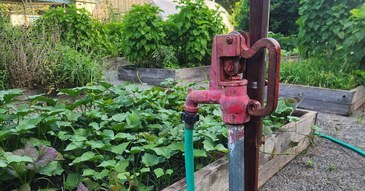Waterwise Garden Program