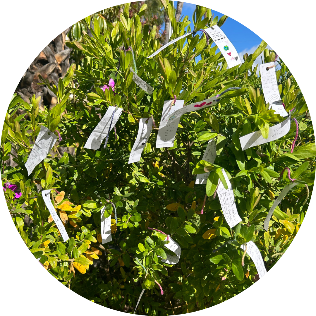 White pieces of paper attached to a green bush